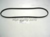 ASHUKI VM3-0975 V-Ribbed Belts
